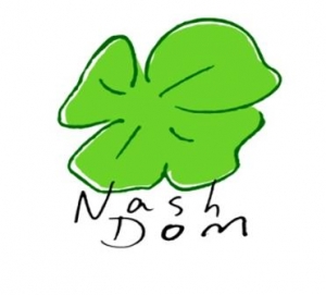 Nash-Dom